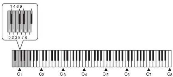 CASIO Privia PX-100 - Reproduction de rythmes - 2