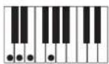 CASIO Privia PX-100 - REMARQUE - 12
