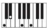 CASIO Privia PX-100 - REMARQUE - 14