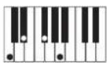 CASIO Privia PX-100 - REMARQUE - 15
