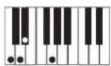 CASIO Privia PX-100 - REMARQUE - 13