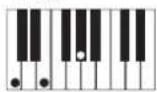 CASIO Privia PX-100 - REMARQUE - 4