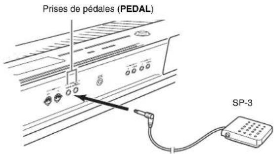 Prises de pédales (PEDAL) SP-3