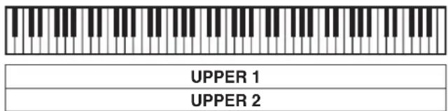 UPPER 1 UPPER 2