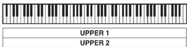 UPPER 1 UPPER 2