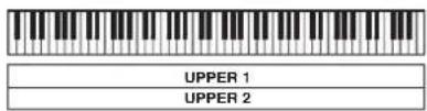 UPPER 1 UPPER 2