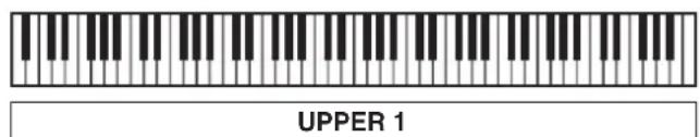 UPPER 1