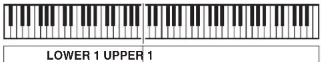 LOWER 1 UPPER 1