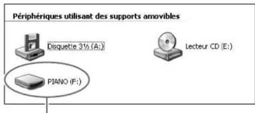 Périphériques utilisant des supports amovibles Disquette 3½ (A:) PIANO (F:) Lecteur CD (E:)