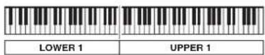 CASIO Privia PX-3 - Superposition et partage de sonorités - 3