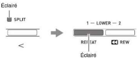 Éclairé SPLIT < 1 — LOWER — 2 REF EAT REW Éclairé