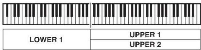 LOWER 1 UPPER 1 UPPER 2