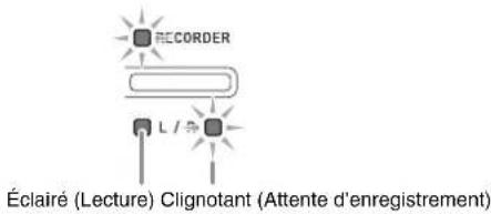RECORDER L / ≈ Éclairé (Lecture) Clignotant (Attente d'enregistrement)