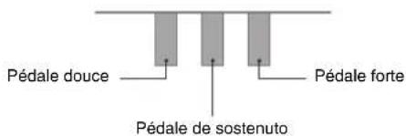Pédale douce Pédale forte Pédale de sostenuto