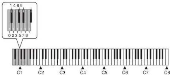 CASIO Privia PX-300 - Jouer un morceau intégré - 2
