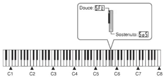 CASIO Privia PX-300 - Sélection de la fonction de la pédale - 1