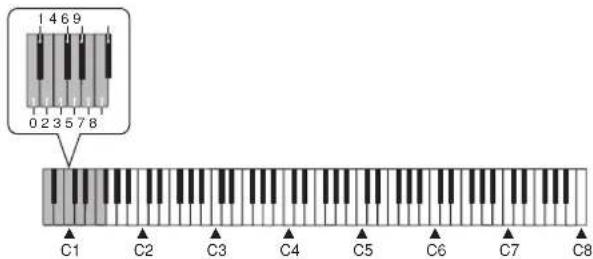 CASIO Privia PX-300 - REMARQUE - 2