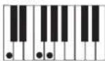 CASIO Privia PX-300 - PRÉPARATIFS - 5