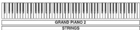 CASIO Privia PX-300 - PRÉPARATIFS - 2