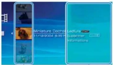 Miniature Dachos 11/12/2004 6:39 P Lecture Supprimer Informations