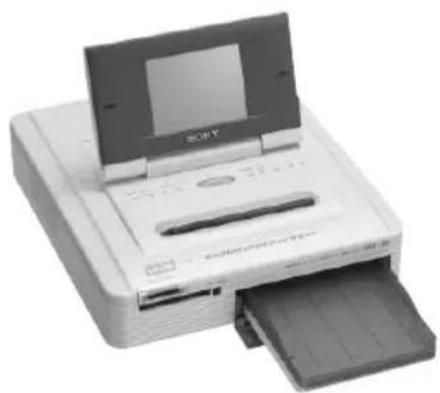 SONY DPP-EX7 - Manual de instrucciones - 1