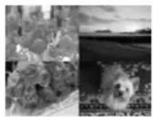 SONY DPP-EX7 - Making a split print - 1