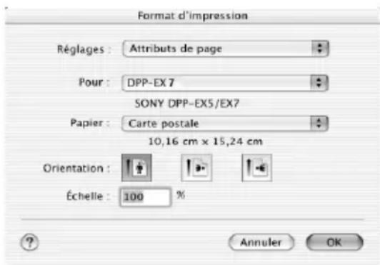 SONY DPP-EX7 - Remarques - 1