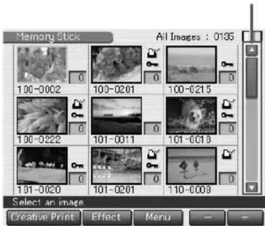 Memory Stick All Images : 0135 100-0002 100-0201 100-0215 100-0222 101-0011 101-0018 101-0020 101-0201 110-0009 Select an image Creative Print Effect Menu