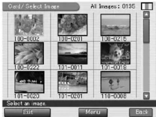 Gard/Select Image All Images: 0135 100-0002 100-0201 100-0215 100-0222 101-0011 101-0018 101-0020 101-0201 110-0008 Select an image. Exit Menu Back