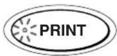 SONY DPP-EX7 - Press the PRINT button. - 1