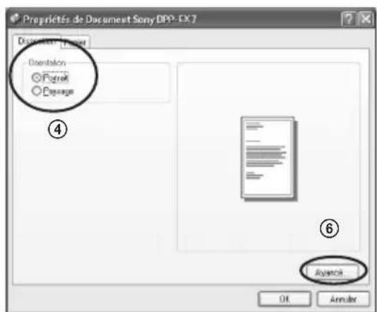 SONY DPP-EX7 - Remarques - 3