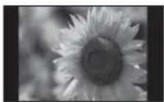 SONY DPP-F800 - Mode d'affichage d'une seule image (une image) - 1