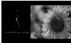 SONY DPP-F800 - Affichage du diaporama - 3