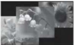 SONY DPP-F800 - Affichage du diaporama - 2