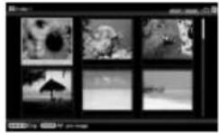 SONY DPP-F800 - Affichage index - 1