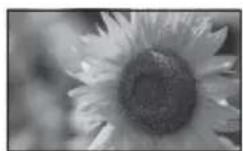 SONY DPP-F800 - Utilisation comme cadre photo - 7