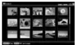 SONY DPP-F800 - Affichage index - 2