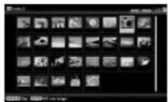 SONY DPP-F800 - Affichage index - 3