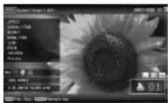 SONY DPP-F800 - Mode d'affichage d'une seule image (une image) - 4