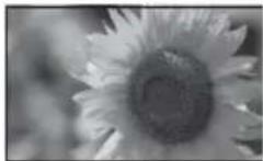 SONY DPP-F800 - Mode d'affichage d'une seule image (une image) - 2