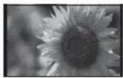 SONY DPP-F800 - Utilisation comme cadre photo - 1