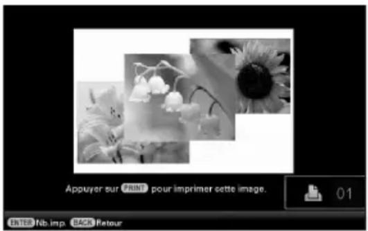 SONY DPP-F800 - Impression en mode de diaporama - 1
