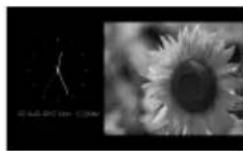 SONY DPP-F800 - Utilisation comme cadre photo - 3