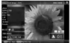 SONY DPP-F800 - Mode d'affichage d'une seule image (une image) - 3