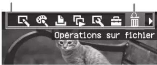 Opérations sur fichier
