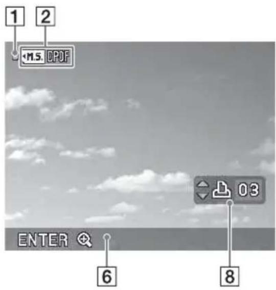 SONY DPP-FP67 - Aperçu d'une image - 2