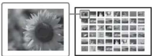 SONY DPP-FP67 - - Impression de l'index - 1