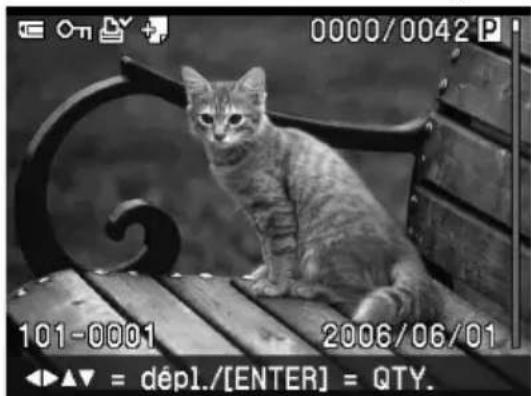 SONY DPP-FP55 - Impression d'une image - 2