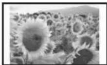 SONY DPP-FP55 - Impression d'images sélectionnées - 1