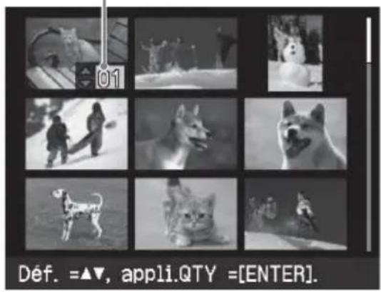 SONY DPP-FP55 - Pour afficher de nouveau l'aperçu d'une image - 2